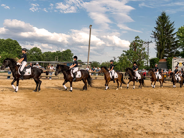 activitats formació a l'equitació